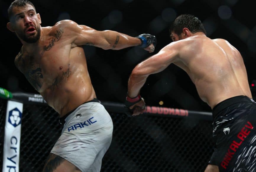 Aleksandar Rakić-UFC